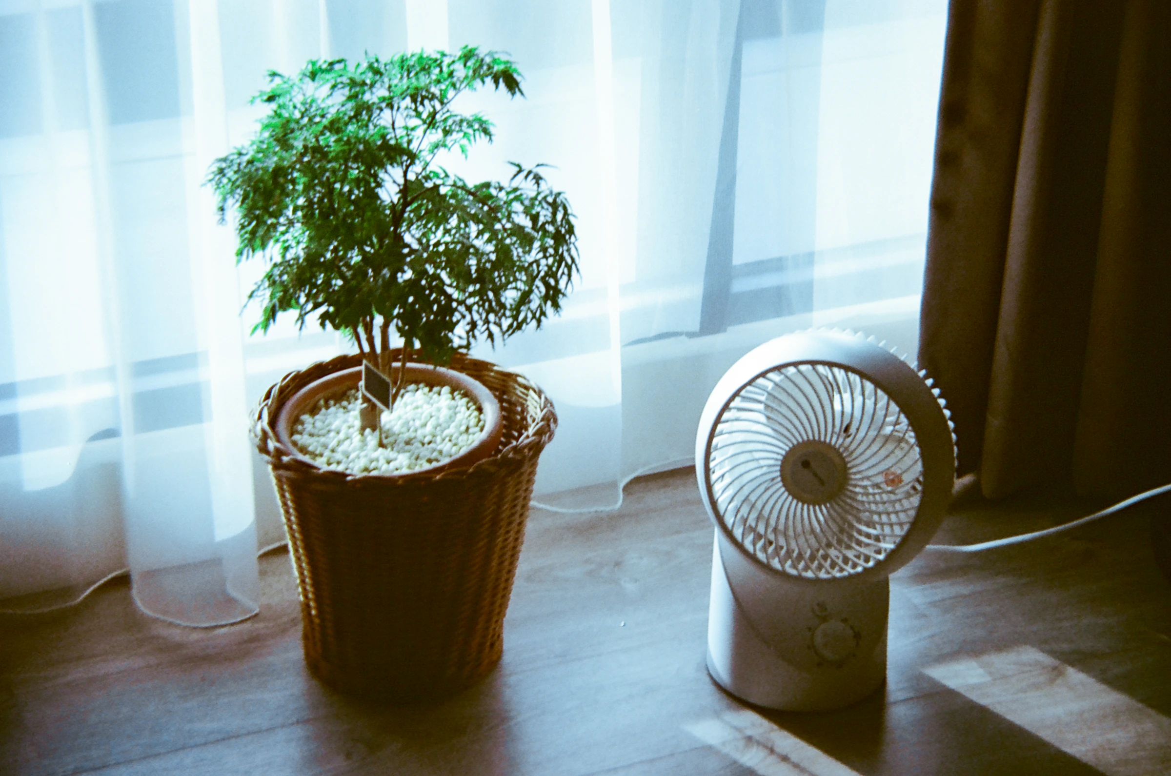 You-Chen Hsu_1751513362496_unsplash_id_uO8xDQIG5lI.webp